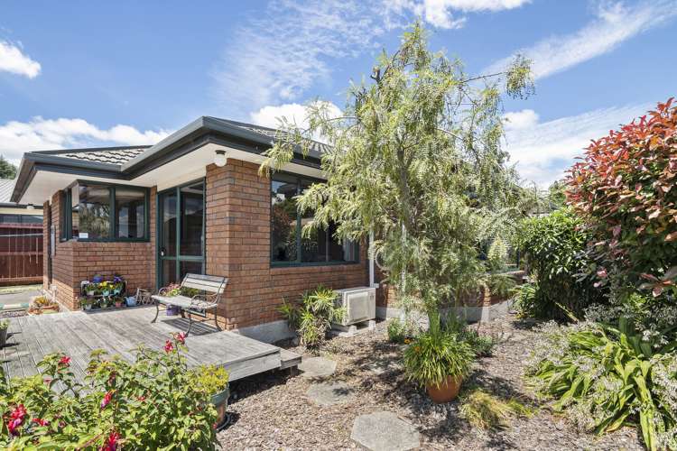 5a Hilliard Street Stoke_0