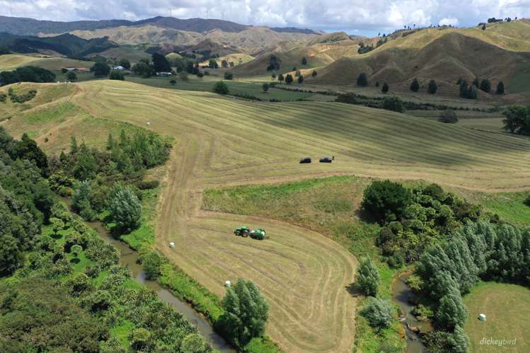 211 Waitetuna Valley Road Raglan_15