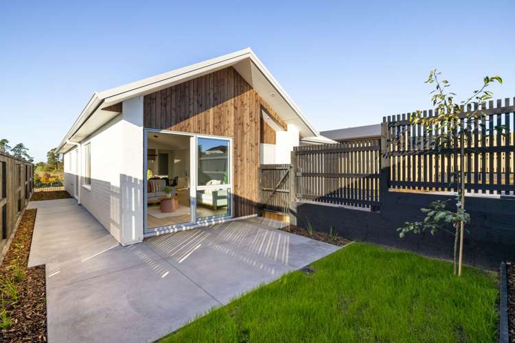 25 Lumino Terrace Peacocke_20