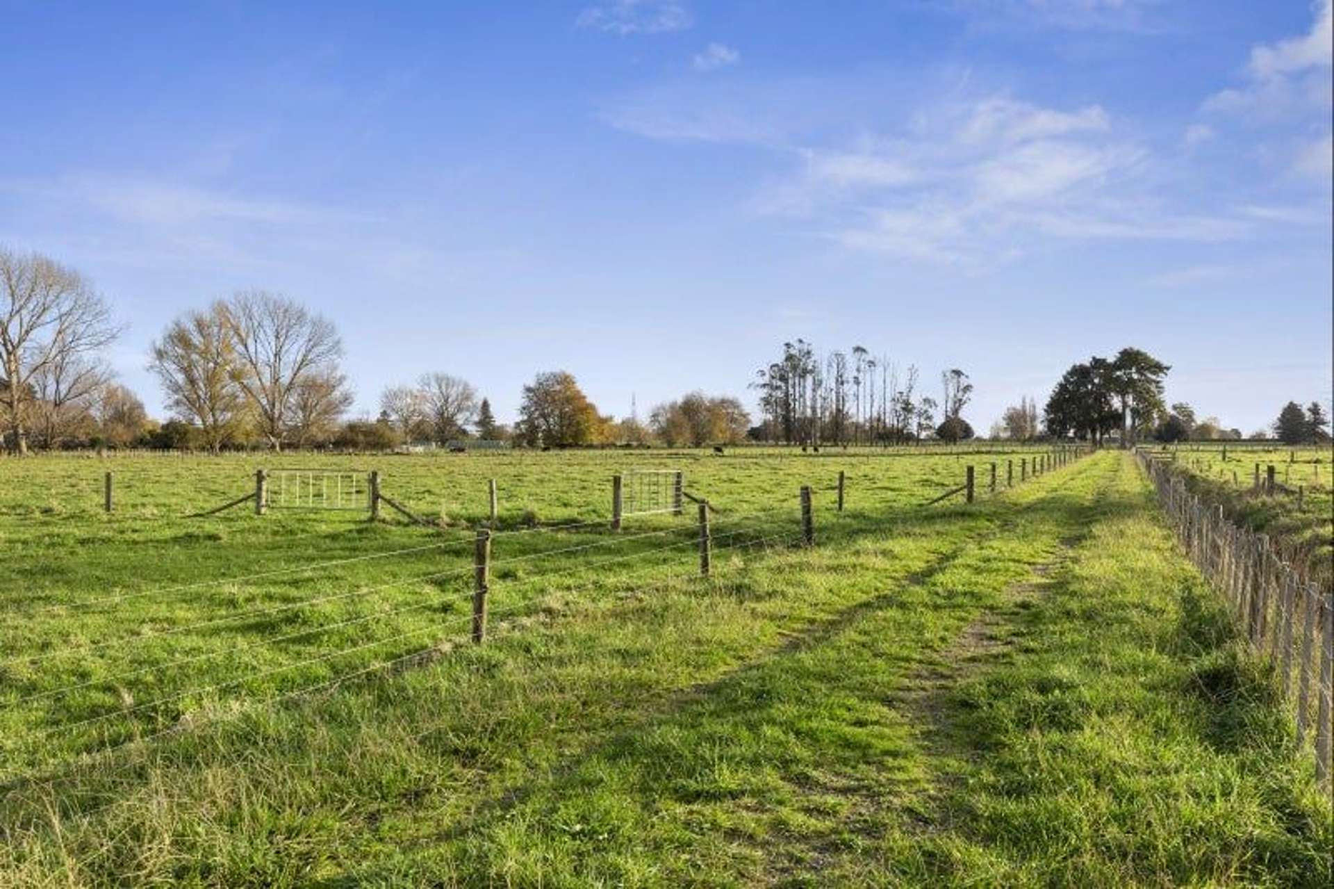 4/11 Fencourt Road Cambridge_0