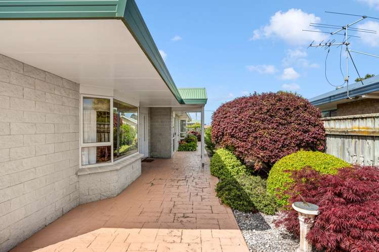 24a Cole Street Masterton_23