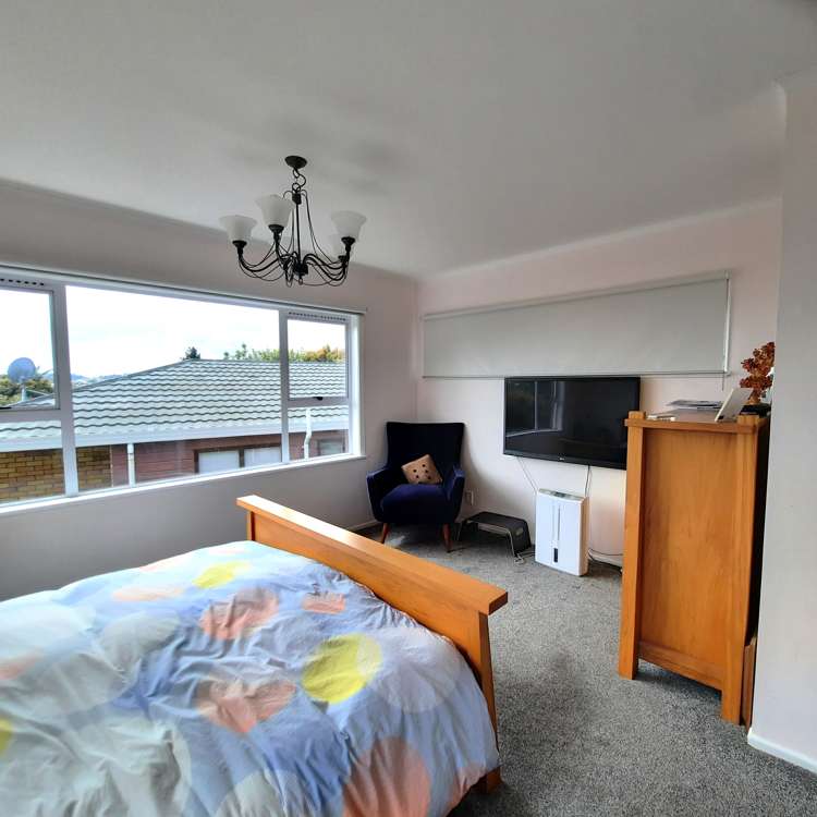 247A Hillsborough Road Hillsborough_13