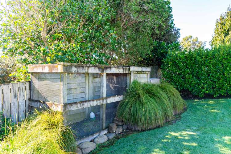 7 Panorama Place Dargaville_29