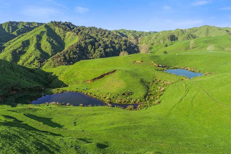 292 Aramahoe Road Taumarunui_21