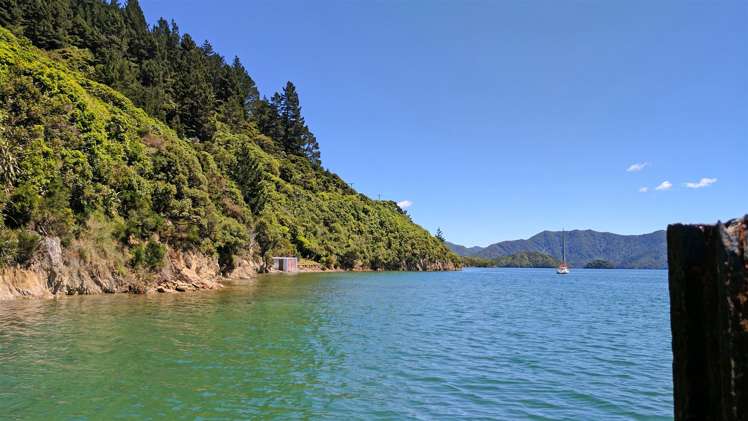 417 Port Underwood Road Whatamango Bay_31