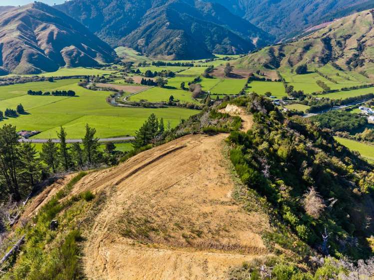 State Highway 6 Havelock_13