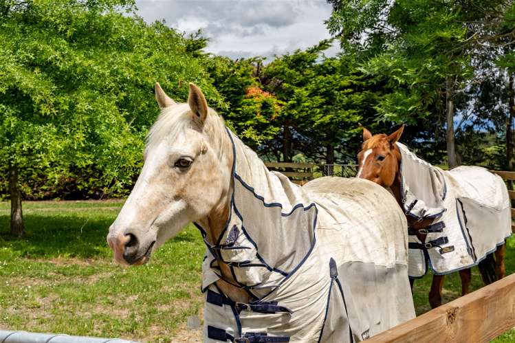 78 Lees Pakaraka Road Masterton_25