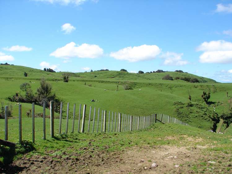 Mahoe Road Waitomo_8