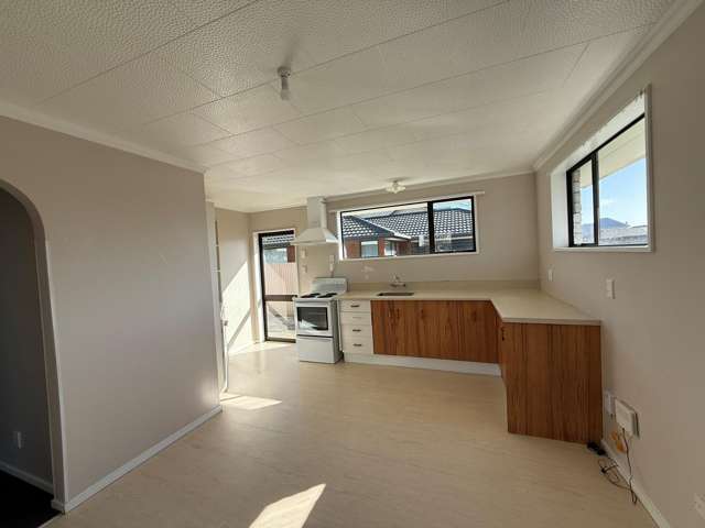 1/41 Picton Avenue Riccarton_2