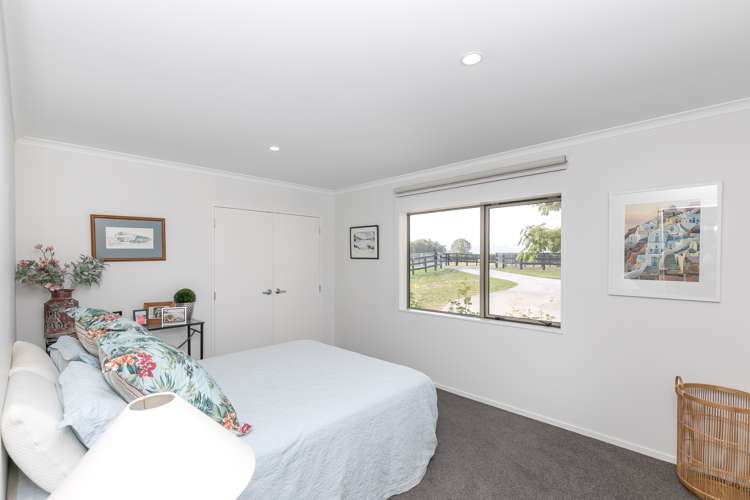 263 Taihoa South Road Matamata_12