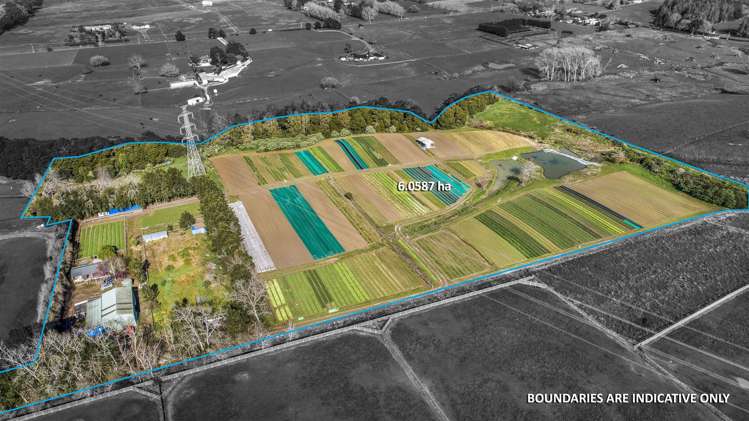 47 Parish Line Road Clevedon_7