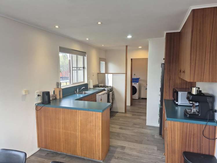 14b Tutanekai Street_5