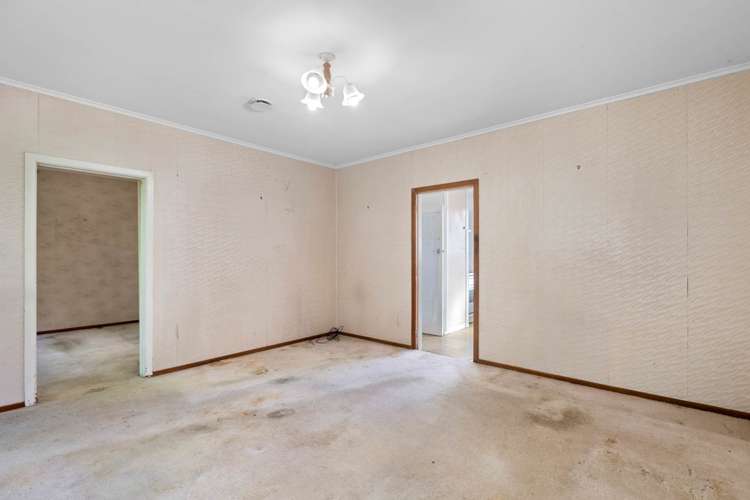 2/23a Cradock Street Avondale_8