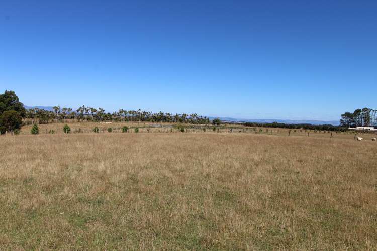 215 Fergusson Road Halcombe_15