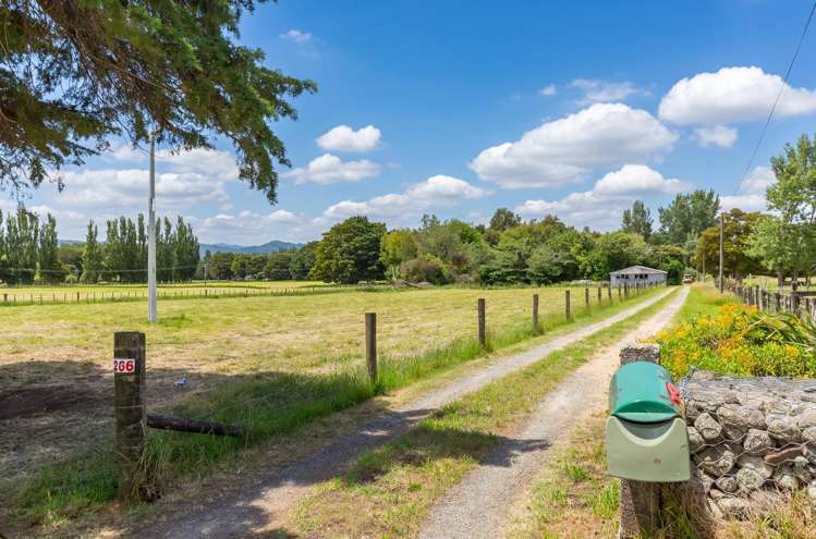 266 Wood Street Woodside_2