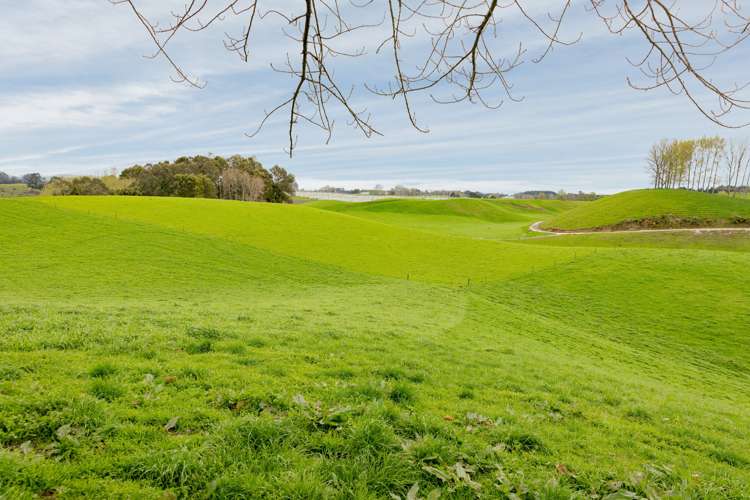 936 Pongakawa Bush Road Pongakawa_24