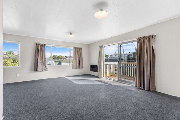 3 Chester Street 11219_10