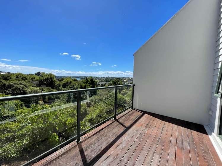 3d Laxon Terrace Remuera_7
