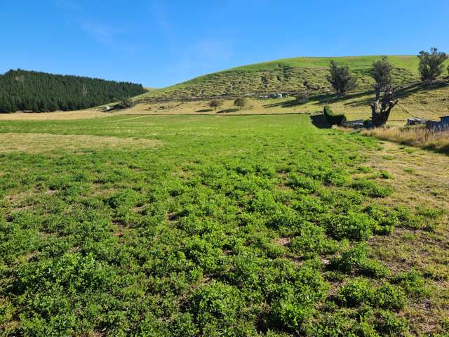 Pukeuri-Oamaru Road Oamaru_2