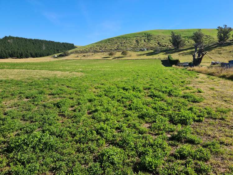 Pukeuri-Oamaru Road Oamaru_2