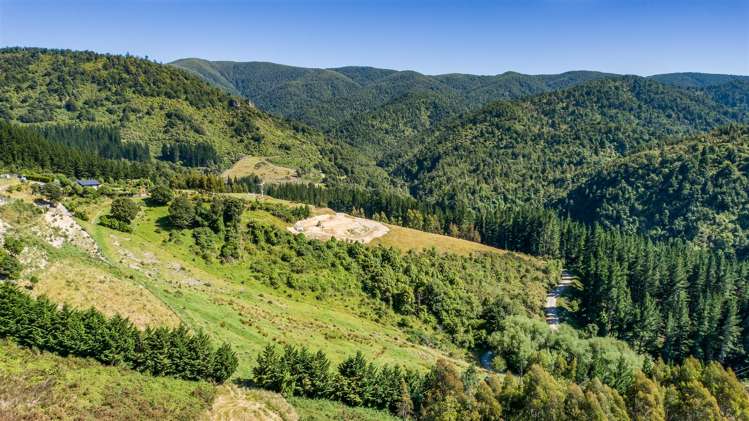 385 Glentui Bush Road Glentui_5