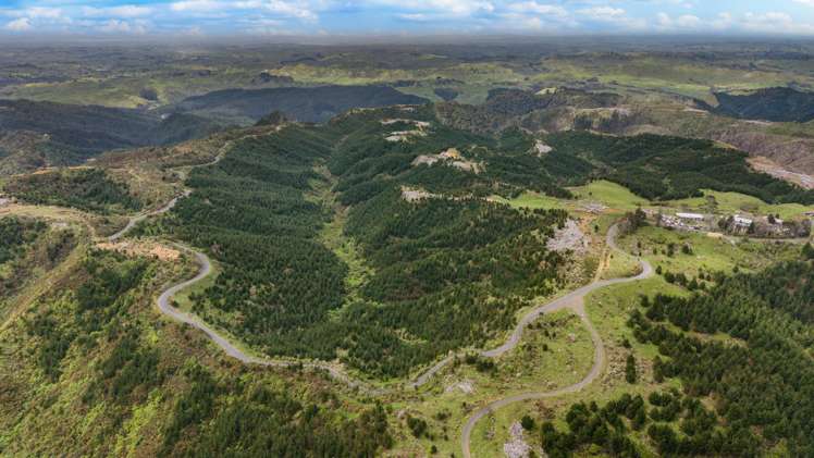 937 Klondyke Road Port Waikato_1