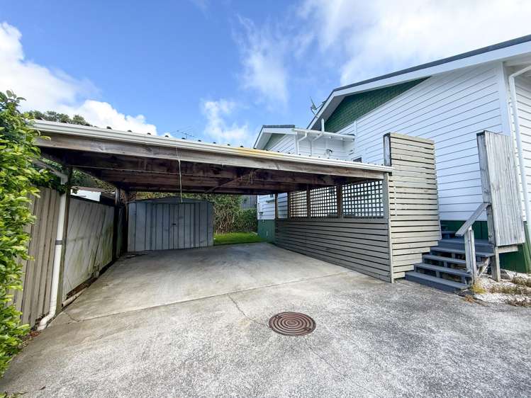 259 Campbell Road Greenlane_13