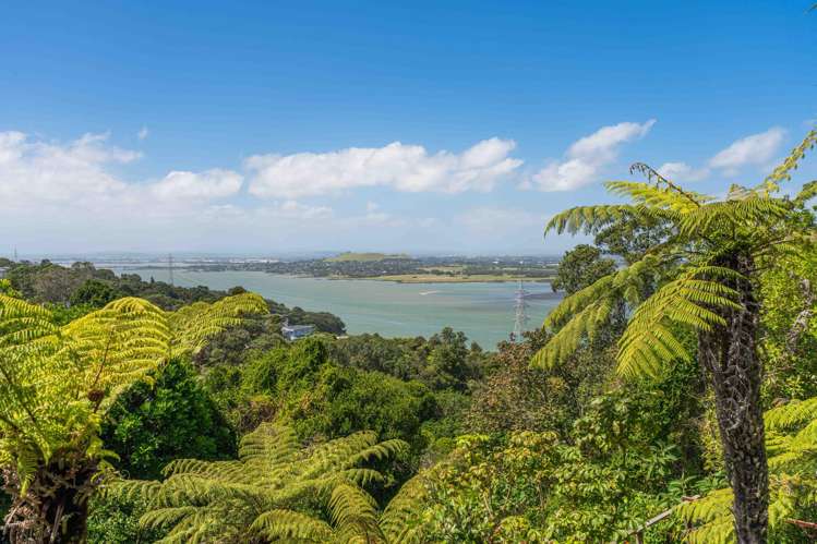 402 Hillsborough Road Mount Roskill_39