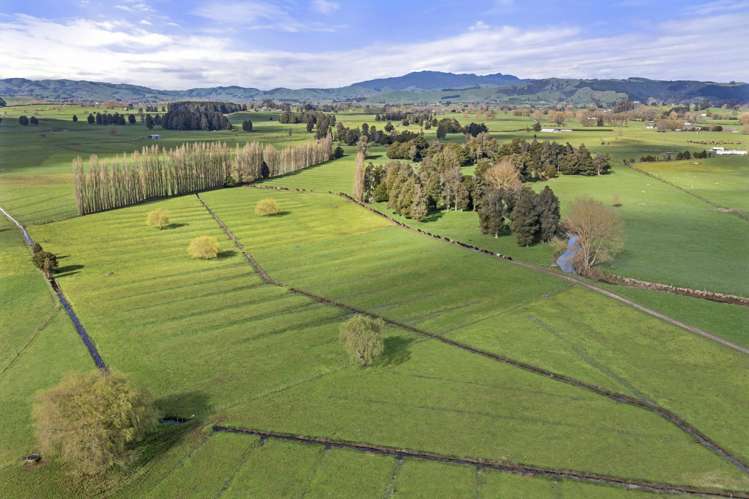 1/2528 Cambridge Road Te Awamutu_9