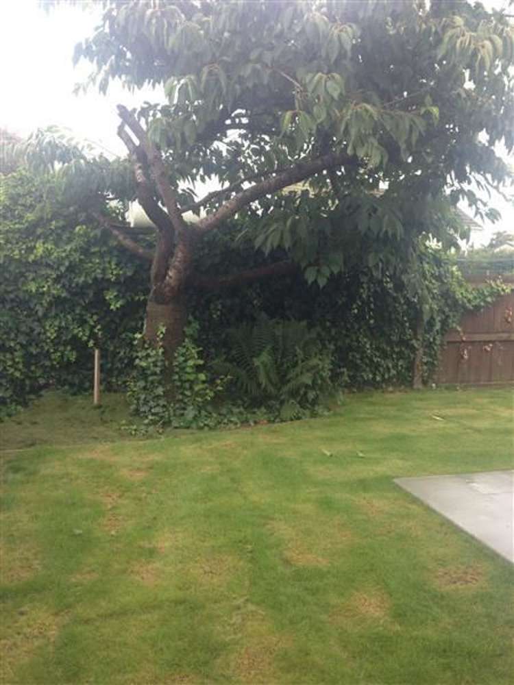 172c Otipua Road Watlington_17