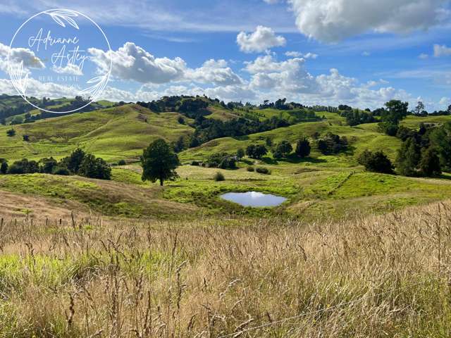 118 Paparoa Station Road Paparoa_2