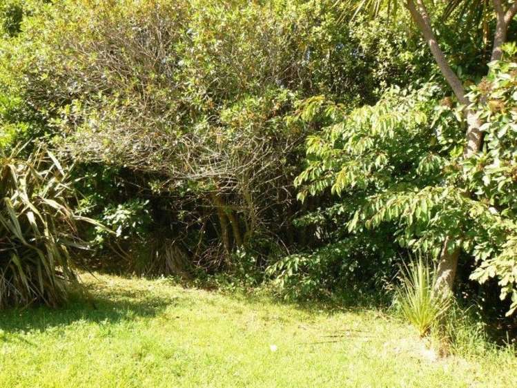 10 Cross Street Papatowai/Pounawea_11