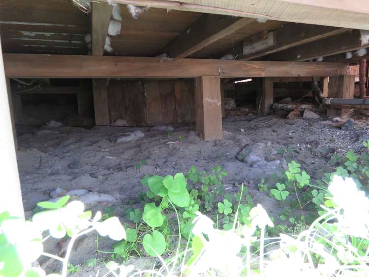 33 Romilly Street Westport_13