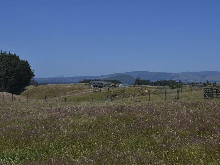 97 Brake Road Ngongotaha_8