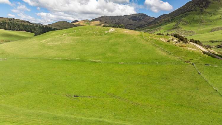 1157 The Peaks Road Hawarden_13