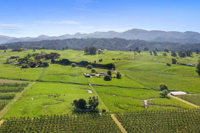 Country Comfort - Contemporary Style