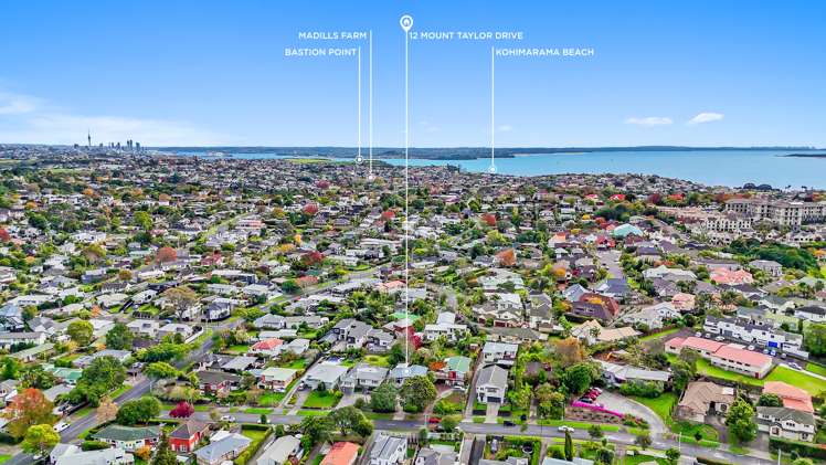 12 Mount Taylor Drive Glendowie_21