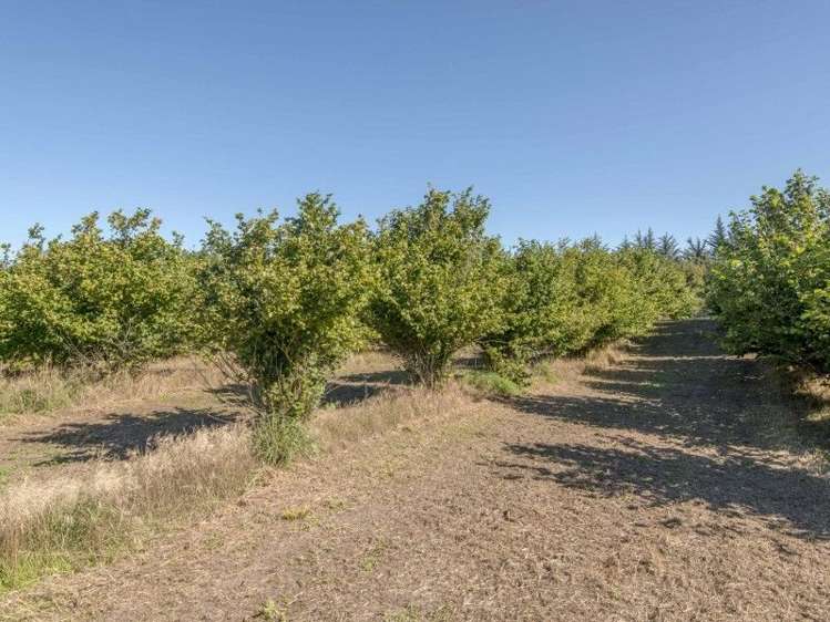 3/377 Halkett Road West Melton_8