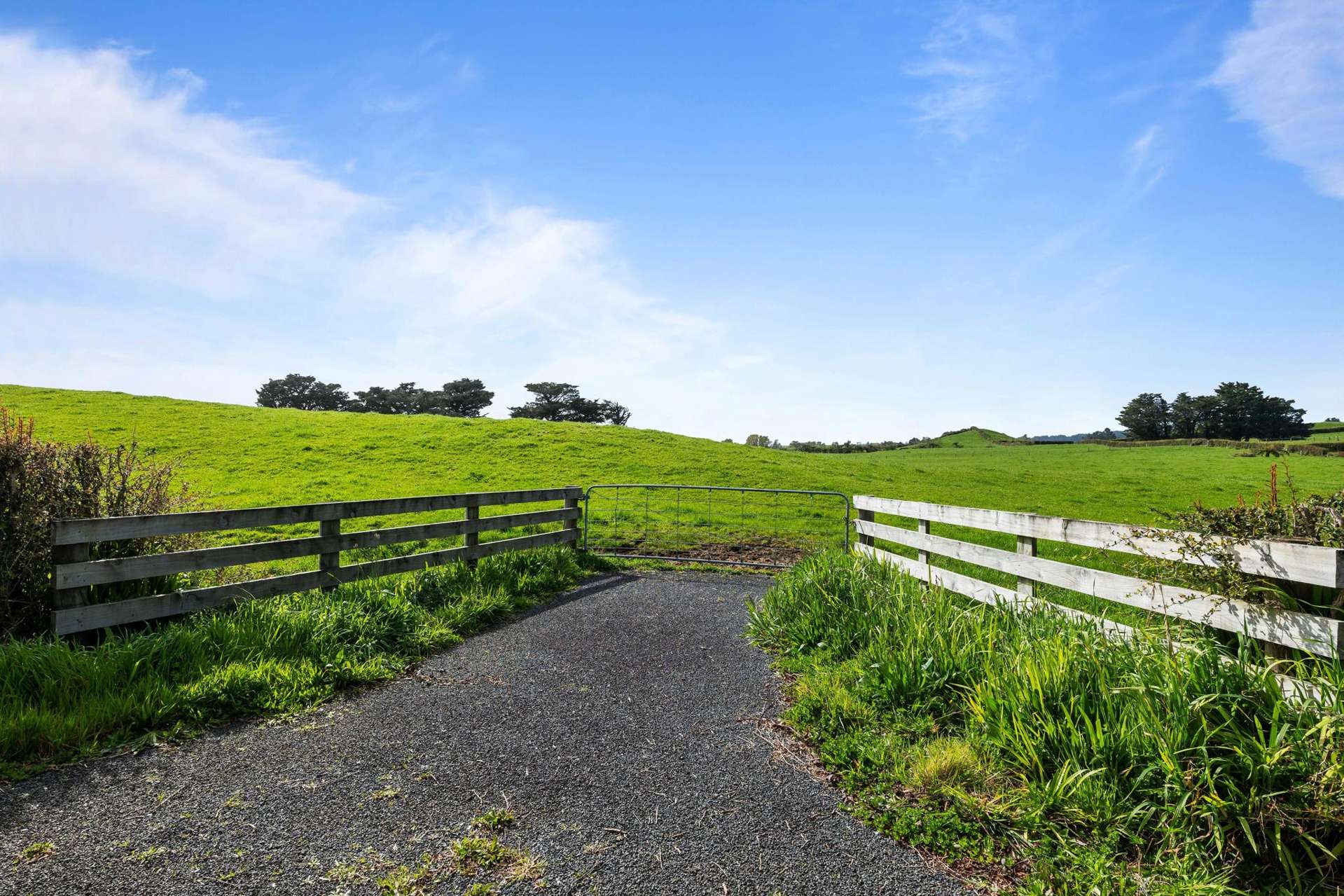 1061A Carrington Road Hurworth_0