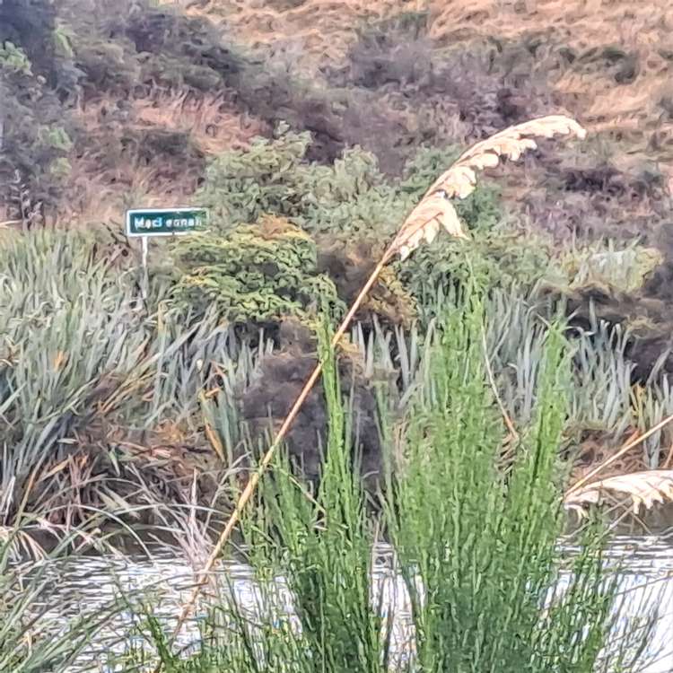 2270 Papatowai Highway Papatowai/Pounawea_14