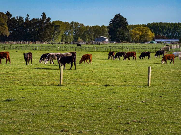 3637 State Highway 2 Takapau_7