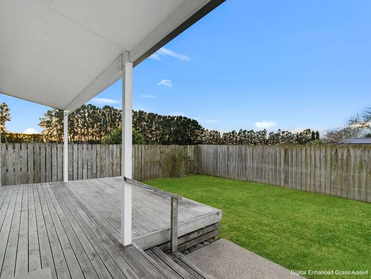142a College Road Edgecumbe_12
