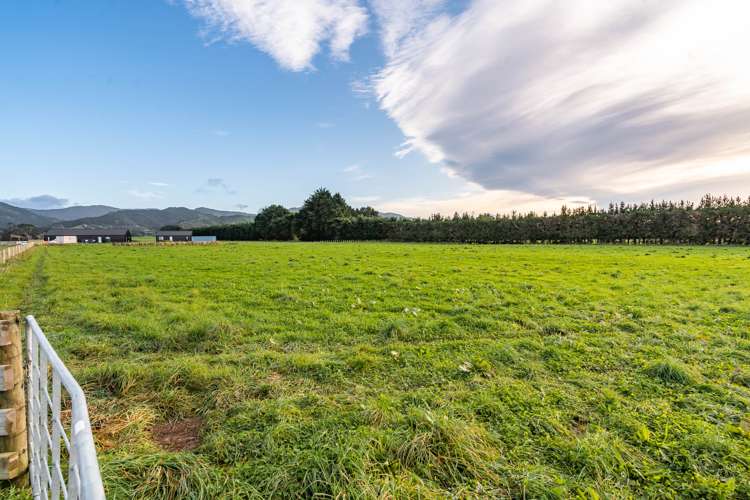 64b Thomas Road Carterton_5