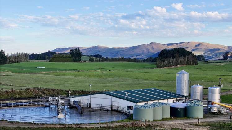 10 Roy Road Clutha_9