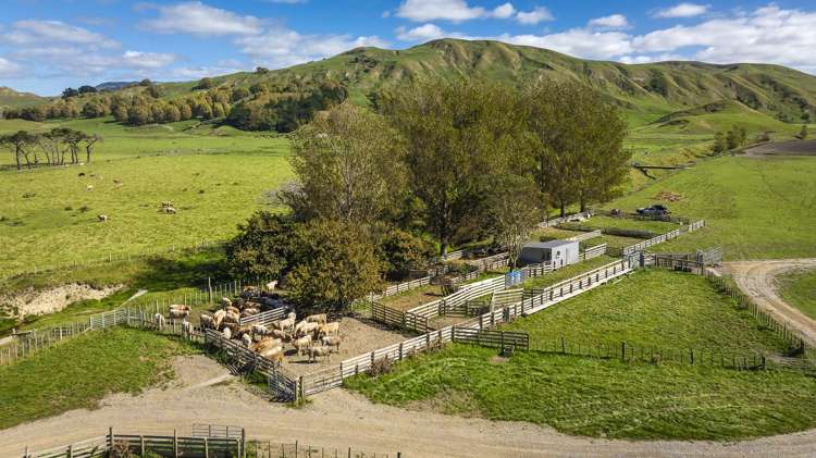 Paoanui Pourerere_13