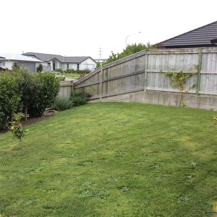 1 Varsity Heights Fitzherbert_23