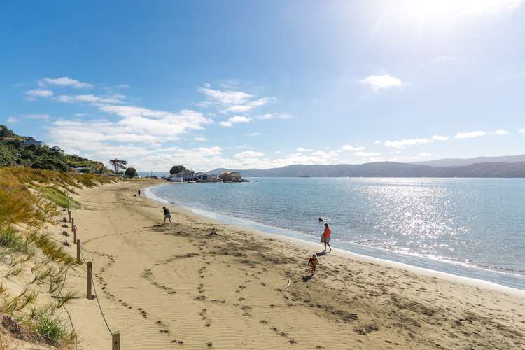 1/179 Marine Parade Seatoun_13