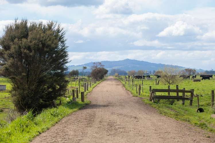 1001 Piako Road Gordonton_23