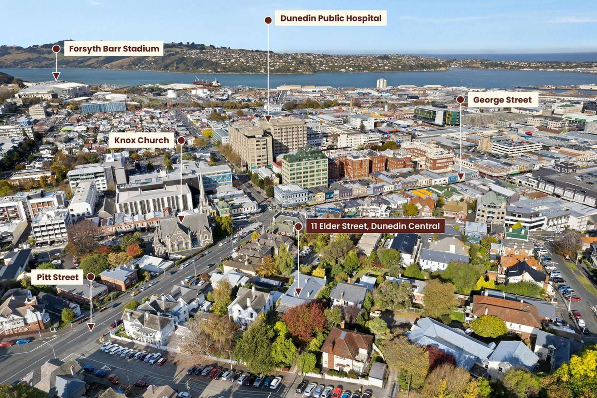 11 Elder Street Dunedin Central_0