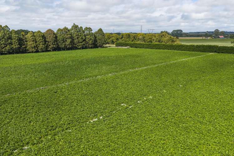 249 Plaskett Road Fernside_26